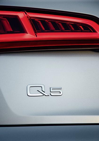 Audi Q5 Logo